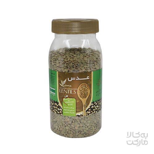 عدس سبز ارگانیک چتر گندمی 700 گرم